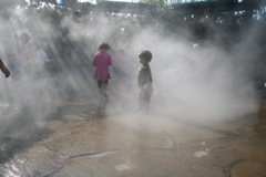 IMG_6546.JPG