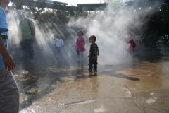 IMG_6548.JPG