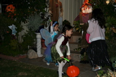 IMG_6475.JPG