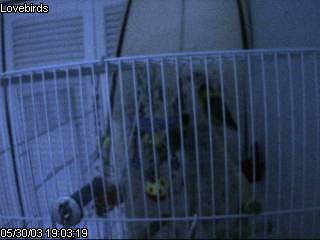 these guys are more interesting.